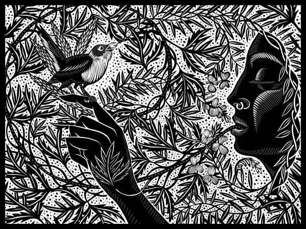 Black and white graphic by Right to Roam illustrator Nick Hayes shows a human profile against leaves, fronds and tendrils in the background. A bird/blackbird? has landed singing on the human' s forefinger. One branch seems to grow out of the human mouth