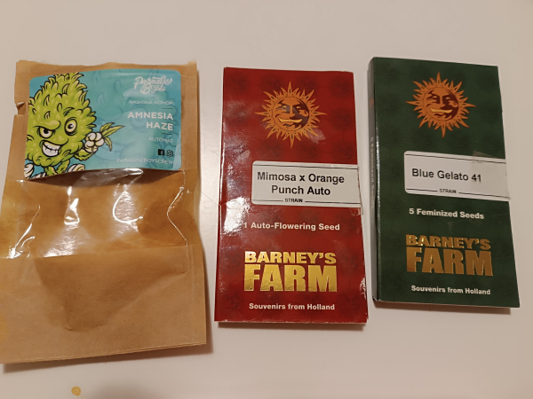 Three packages of cannabis seeds