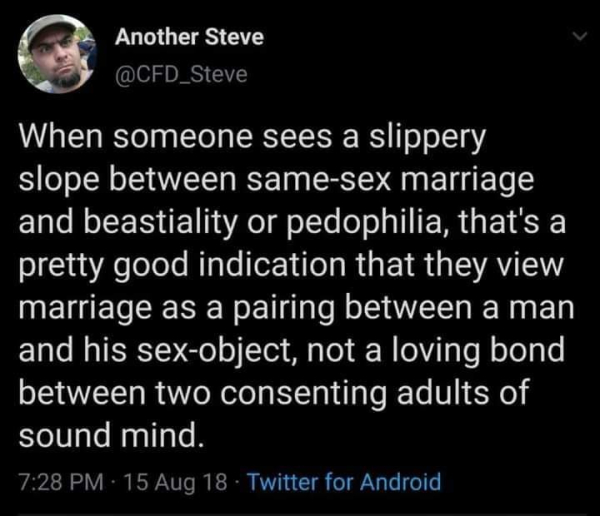 Another Steve:

When someone sees a slippery slope between same-sex marriage and beastiality or pedophilia, that's a pretty good indication that they view marriage as a pairing between a man and his sex-object, not a loving bond between two consenting adults of sound mind.