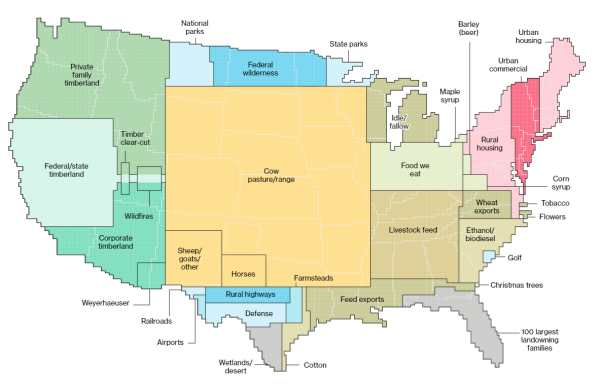 This 8,000 pixel weighted cartogram of the United States shows the distribution of land for different purposes, including cow pastures, timberland, urban housing areas, and Christmas trees. A huge area of land is used by cows.
