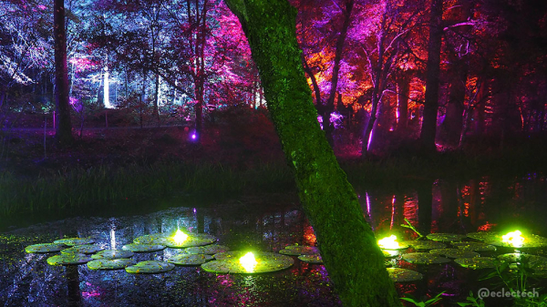 A photo looking over the loch with fake lily pads and lit up frogs sitting on them, but the camera settings mean they are just little enigmatic glow balls. There is a nearby tree trunk cutting across the photo in the foreground, and many tall leafy trees on the far bank lit in white, blues, pinks and orange.