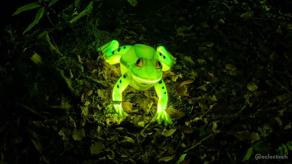 A photo of a green frog light, sitting on a leafy woodland ground.