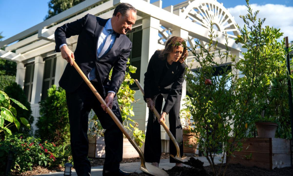 Doug Emhoff y Kamala Harris, plantando un granado en el jardín de la residencia oficial de la vicepresidenta de EEUU en recuerdo a los asesinados por Hamás el 7 de octubre de 2023. (Kent Nishimura / Getty Images)