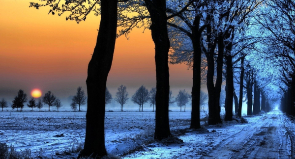 A snow-covered lane lined with frost-rimed trees, with a white field and rows of trees in the background.  The sun is setting.