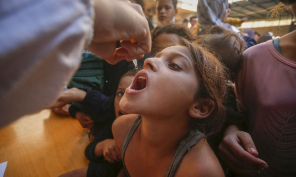 Niños de Gaza reciben la vacuna de la polio en un centro de la UNRWA en Deir al-Balah, Gaza. (Ashraf Amra / Anadolu via Getty Images)