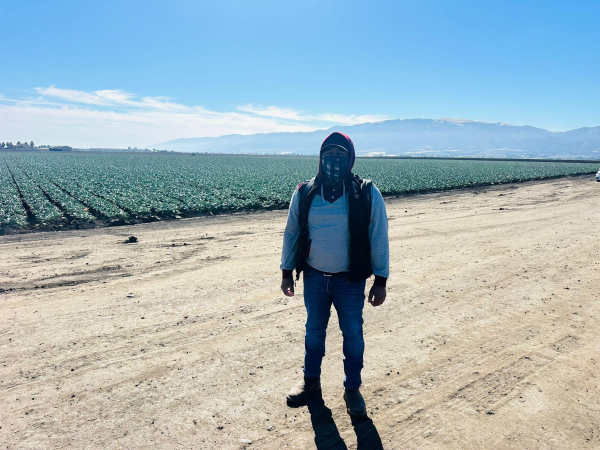 Farm worker standing next to a field where he is working in the harvest