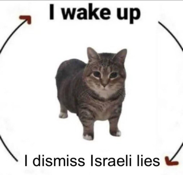 Meme with a tabby cat in middle. There's 2 arrows in a circle around cat and it says I wake up I dismiss Israeli lies - indicating perpetual cycle.