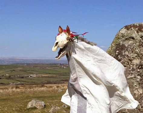 Image of the Welsh folk figure Mari Lwyd - the skeleton of a horse's head on a pole, covered with a sheet and with coloured ribbons in her mane.