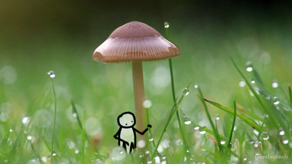 A photo taken low down in my garden lawn. In the centre, the focus is on a single, delicate, water coated mushroom. The background is soft green, fading to dark near the top. Scattered around are blades of dark green grass with droplets of water on them. A small, simple, drawn figure sits underneath the mushroom, arm reached out to a blade of grass.