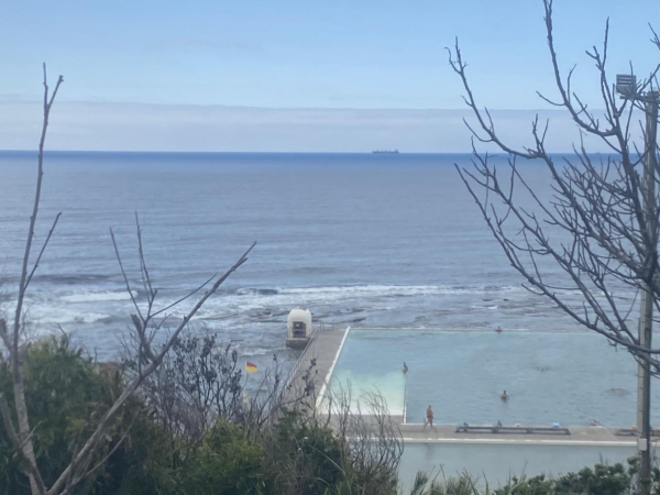 Photo looking  through the scrub on the hill, down to the Merewether Ocean Baths and out to the coal ships on the horizon. There's a deep blue line along the ocean horizon, then the water looks grey until the pools which have a hint more turquoise. Cloudy day with some pale blue sky visible.