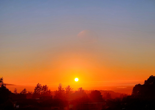 The sun was setting over a fog filled valley the sky is orange fading to the blue above. There are dark tree tops at the bottom.