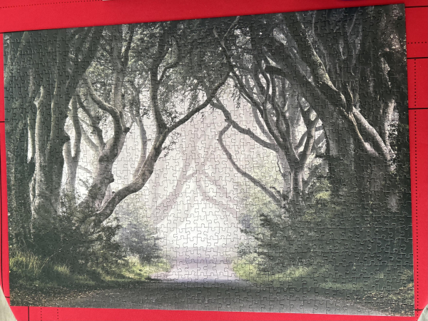 A 1000 piece jigsaw of The Dark Hedges, a road in Northern Ireland which featured in Game of Thrones.
The image shows a foggy misty light through some ancient trees. There is a road in the lower centre of the image, the almost leafless trees meeting overhead as the road leads into the distance and the mist. There are low bushes and grass along the edge of the road in the forground. Ghostly grey tree branches meet in the middle overhead in the distance.