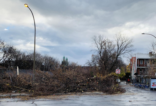 A landscape featuring a large pile of branches and debris, with leafless trees in the background. A streetlight is illuminated, and a building with a mural is visible on the right side. The sky is overcast with gray clouds.