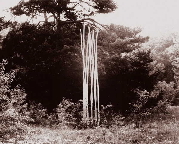 Black and white image of a towering sculpture in the woods made of bright white branches