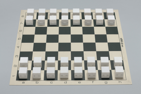 Chess set with white boxes for the pieces, each filled with different noisemaking material