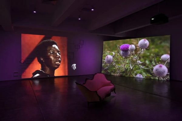 Gallery installation of a pink couch lying askew on the floor with multiple video projections on the walls