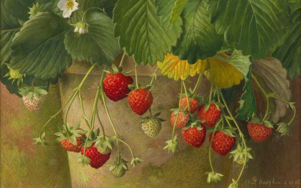 Painting of strawberries dangling from a large pot full of large green leaves