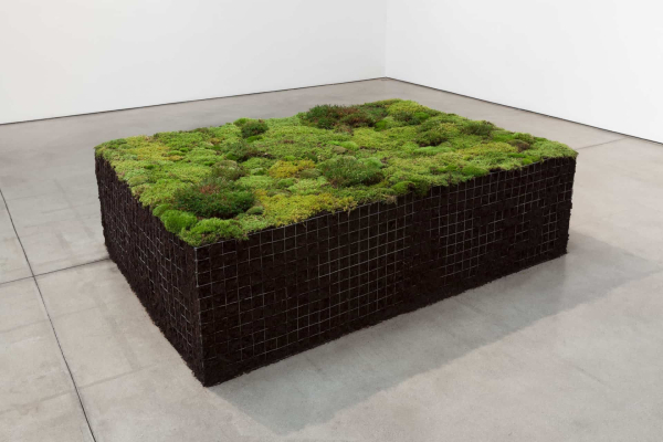 Sculptural rectangle installed in a white gallery, made up of dark soil encased in wire mesh and topped with a variety of mosses