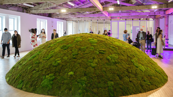 Large circular mound covered in mosses, installed in an open gallery