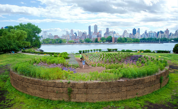 Large circular garden installation filled with native grasses and flowers as an attraction for bees, placed in a green field by a river with a city skyline in the background.