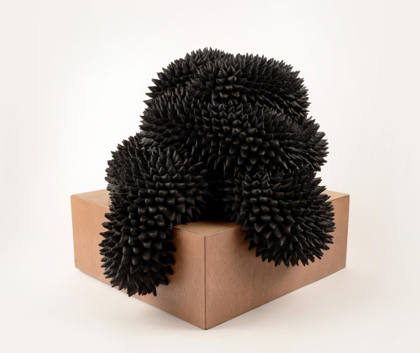 Abstract sculpture of a black biomorphic shape covered in prickly points, sitting atop a wooden block