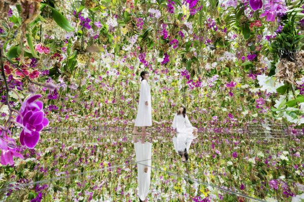 A large space with video projections showing hanging purple orchids and greenery along the floor and walls of a gallery. Two figures in white are in the center of the room looking up