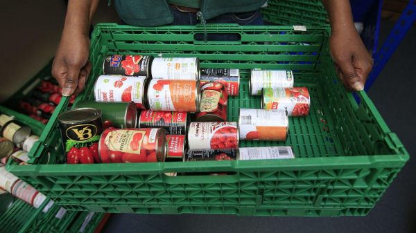 A pair of hands holding a green tray containing tins of tomatoes.