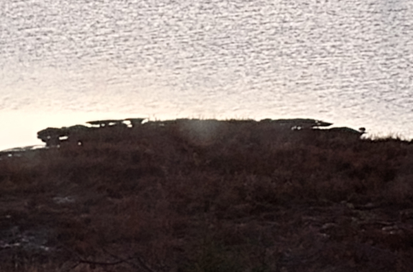 The edge of a marsh against the ocean. The edge is eroding away, tearing off in 2 foot chunks, it's growing to 6 foot chunks that won't survive winter ice. 