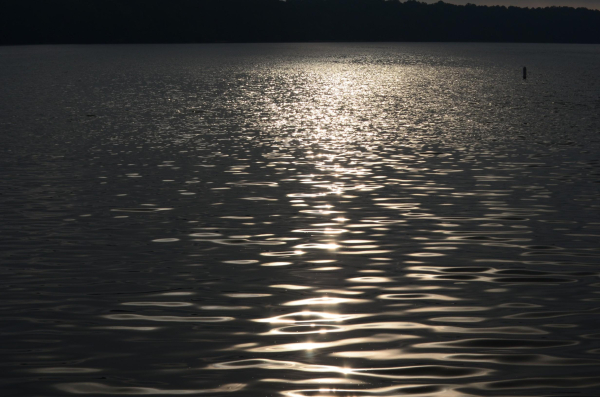 The light of the sun is reflected on the surface of a large body of freshwater. The horizon line is full of darkened trees silhouetted by the sun that is behind them out of frame. The waters are calm but gently rippling. 