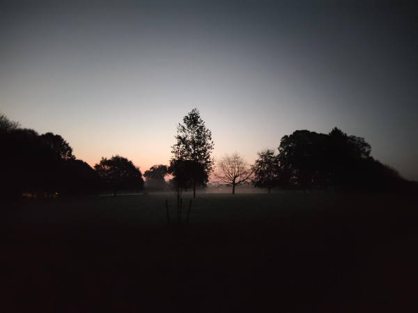 A sunrise over Heavitree park, with a silhouette of a tree in the middle of the photo