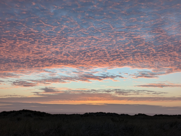 Sunset with orangish pink reflected off the bottoms of hundreds of very small, puffy clouds.