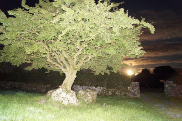 Full moon on the Hill of Uisneach; photocredit 1. Neu-Kelte