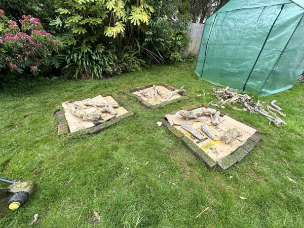 Bricks laid out on a piece of grass, with a PVC greenhouse in the background. The bricks are in three squares with cardboard in the middle to block out grass and weeds, ahead of me then planting it up with wood clippings, grass clippings, and compost