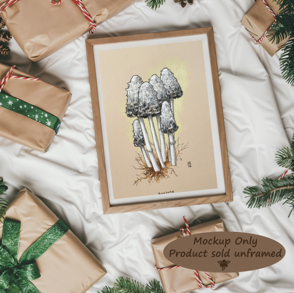 A colour drawing of shaggy inkcap mushrooms. Black and white shaggy capped mushrooms with white stalks. It is widespread and common on roadside verges, parkland, grassland and gardens, growing in small groups. It is edible when young.
An original art work
Colour pencil and mixed media on acid free toned artist paper
5 by 7 inches (12.7 by 17.8 cm). 
Sold unframed