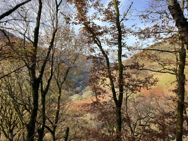 Landscape photo of a view through the tops of trees - mostly beech, oak and birch - from a high point on the side of a hill (a small cave out of shot behind the camera). The view is along a steep sided valley, a river rushing along the bottom and a glimpse of white waterfalls. The rock-strewn slope to the right is catching the sun whereas the woods on the left are in shadow. The overall tones are red-brown of autumn leaves and bracken. The sky is blue (hurrah!) with a light veil of white cloud.