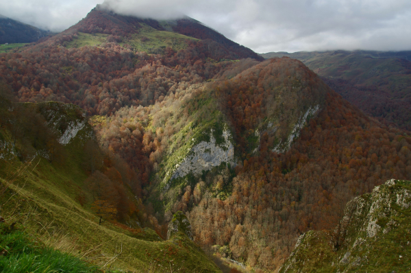 Vue plongeante sur une vallee plongeante et une montagne entre ombre et soleil,  la montagne est couverte d'arbres multicolores rouge, dorés et de prairies vertes eclairees par le soleil. Le sommet est accroché par les nuages. Au fond, on apercoit un torrent de montagne. Une falaise couverte de coniféres accroche aussi le soleil.