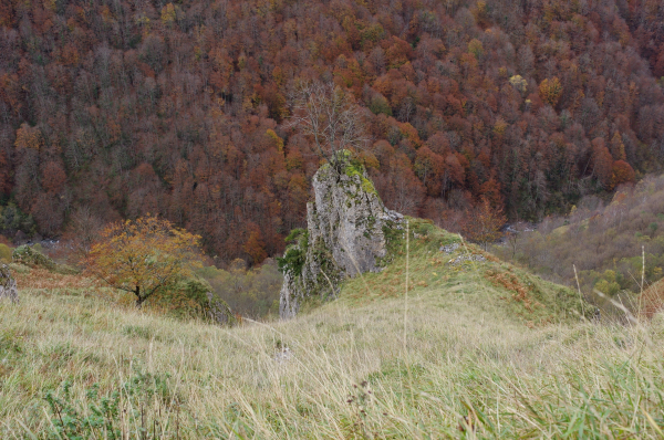 Vue plongeante sur une vallée très encaissée. Le bas de l'image est constitué de pentes herbeuses jaunes très clair très lumineuses orientées ouest, d'un piton rocheux sur lequel se trouve un arbre mort, et d'un arbre aux feuilles orangées. En bas de la vallée, en ligne de démaracation, un torrent de montagne. Le haut de l'image, la pente est opposée, est couverte de forêt et de masses d'arbres aux couleurs rouges cramoisies. Le contraste de lumière et de couleur donne à l'image un coté ying-yang.