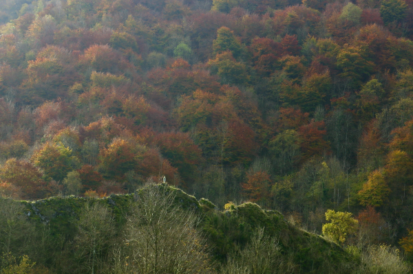 Pente de montagne couverte de forêt au couleurs automnales intenses éclairé par la gauche. Au 1er plan, une petit crête rocheuse au sommet de laquelle se trouve une statue de la vierge.