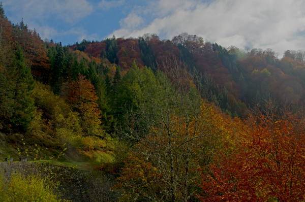 La route du col du soulor au dessus d'Arbeost, explosion de couleurs d'automnes.