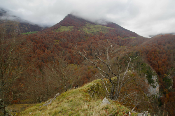 Plan large sur la scène,arête rocheuse et pente herbeuse, arbre mort, et chêvre au 1er plan. Au second, une montagne couverte de forêts aux couleurs rouge cramoisie et de prairie verte.