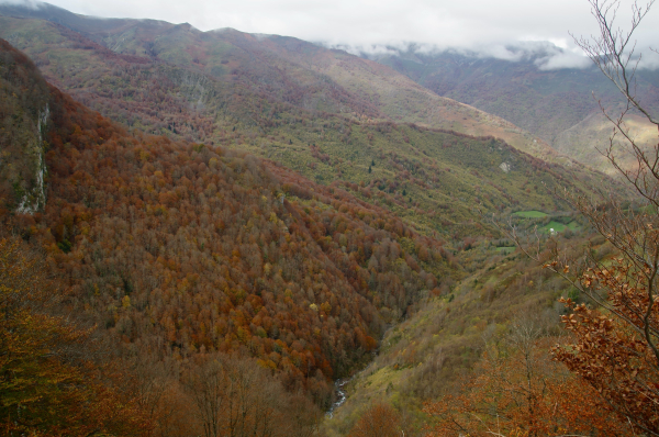 Vue plongeante depuis le haut d'un précipice vers une vallée profonde, un torrent de montagne au fond, des couleurs d'automnes intenses sur les pentes partout. 