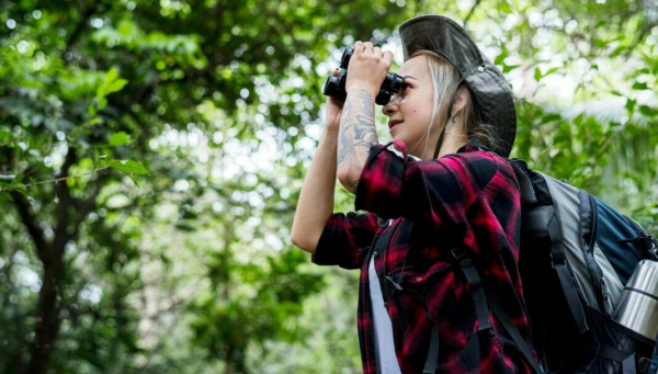 Birder watching birds