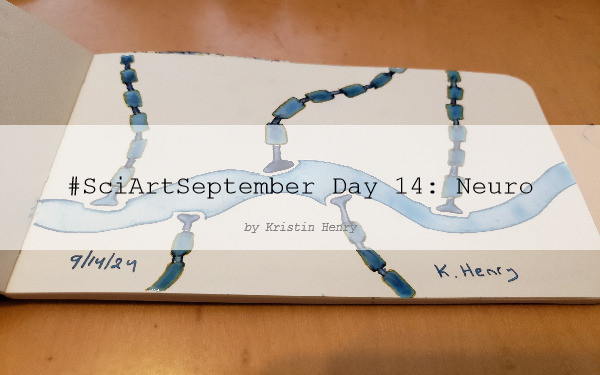 Hand drawn generative/procedural art in ink on an open page of my sketchbook. The abstract pattern is inspired by microscopic nueromuscular junctions. There is a watermark across the photo with text that reads "#SciArtSeptember Day 14: Neuro by Kristin Henry"