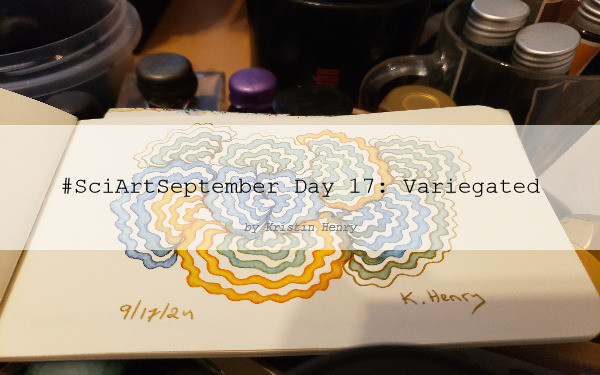 Hand drawn generative/procedural art in ink on an open page of my sketchbook. The abstract pattern is inspired by turkey tail mushrooms. There's a watermark across the image that reads "#SciArtSeptember Day 17: Variegated by Kristin Henry" A messy assortment of ink bottles are next to my sketchbook.