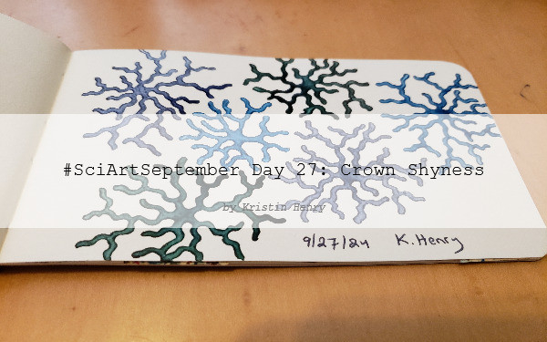 Hand drawn generative/procedural art in ink on an open page of my sketchbook. The abstract pattern looks a bit like nerves branching or looking down on tree tops. There is a watermark across the image with text that reads "#SciArtSeptember Day 27: Crown Shyness by Kristin Henry"