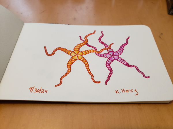 Hand drawn generative/procedural art in ink on an open page of my sketchbook. The abstract pattern looks a bit like two brightly colored starfish dancing with joy.