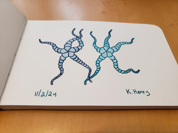 Hand drawn generative/procedural art in ink on an open page of my sketchbook. The abstract pattern looks a bit like two sea stars that are joyously dancing.