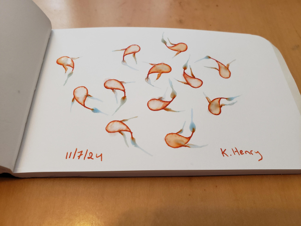 Hand drawn generative/procedural art in ink on an open page of my sketchbook. The abstract pattern looks a bit like fish swimming around.