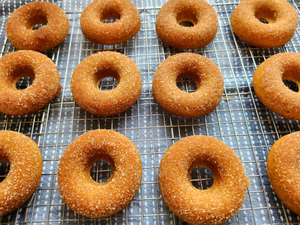 Apple cider donuts warm outside of the oven on a wire cooling rack. The rack is sitting on a blue kitchen towel.