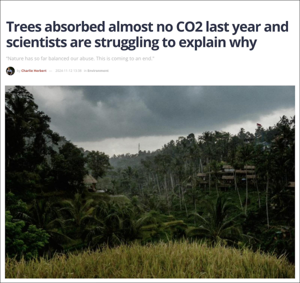 Screenshot from top of linked article. Headline says: "Trees absorbed almost to no CO2 last year and scientists are struggling to explain why." Below this is a photo of trees in a tropical forest.